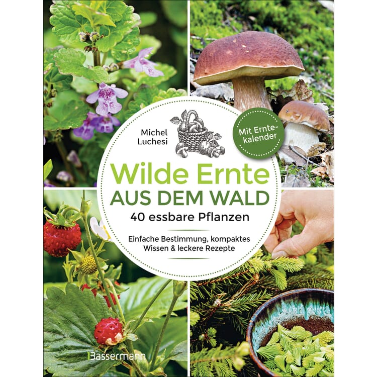 Récolte sauvage de la forêt
