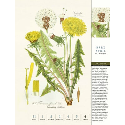 Thorbecke Kalender Kräuter 2025  Manufactum
