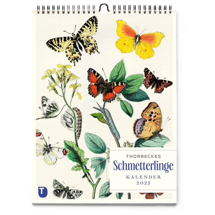 Thorbecke Kalender Schmetterlinge 2025
