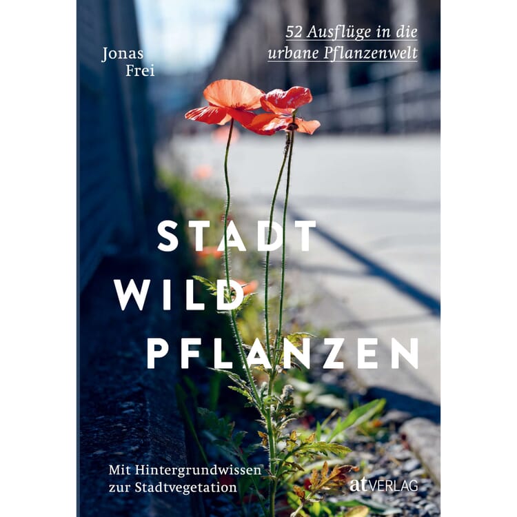Ville Plantes sauvages