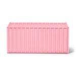 Container DS RAL3015 Rose clair