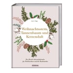 Étoile de Noël, sapin et parfum de bougie